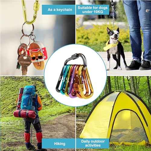 6pcs 2¡±D-Clip Durable Locking Carabiner Keychain Clip with Hook