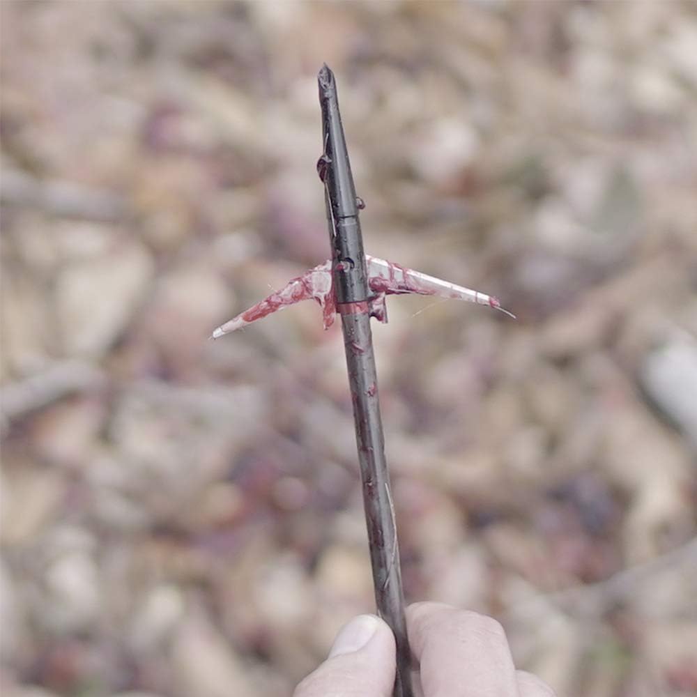 Swhacker100 Grain 1.75" 2 Blade Crossbow Broadhead