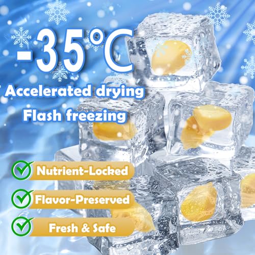 Freeze-Dried Sweet Corn Kernels for Salads & Cooking - 9.5 oz