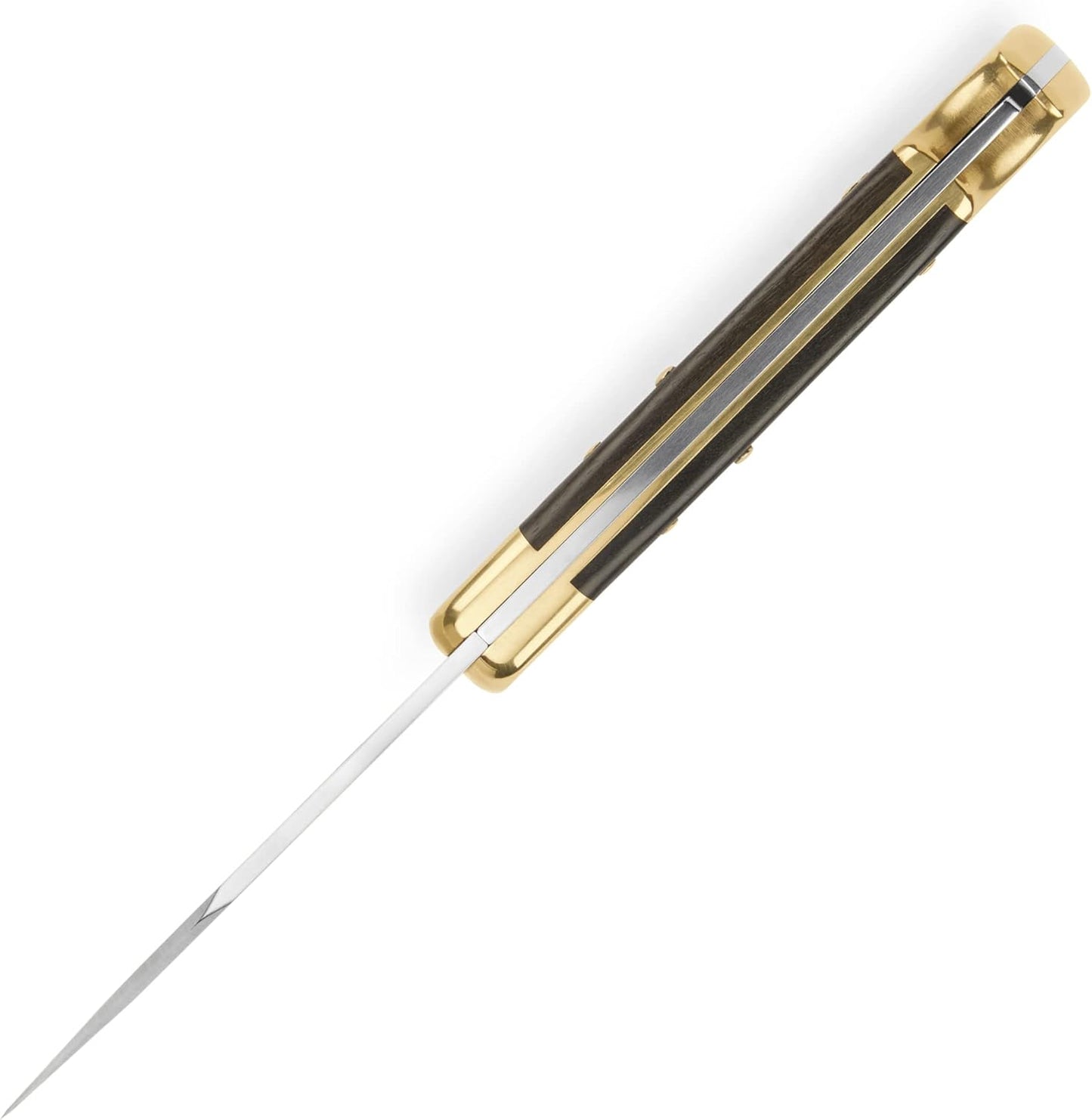 Buck Knives 110 Folding Hunter Lock-back Knife, Brass Bolsters, Ebony Handles, 3-3/4" 420HC Blade with Leather Sheath