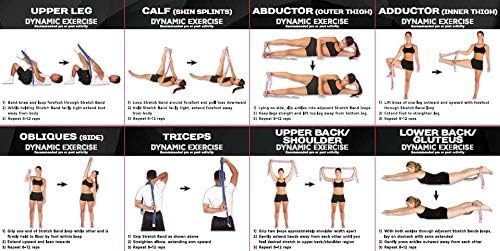 Pro-Tec Stretch Band, Pink, Strength Training, Resistance Bands, Latex, Toning, Shoulders, Back, Glutes, Core, Foot, Upper & Lower Legs, Easy to Use, Working Out, Static Stretching, Dynamic Exercises