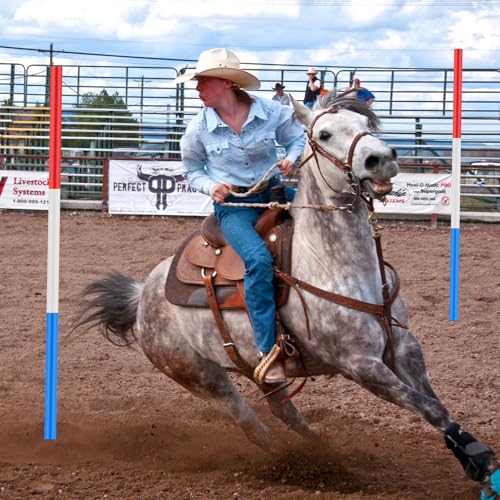 Horse Training Agility Poles Set - 6 Pack, 6ft Impact-Resistant Plastic, High Visibility