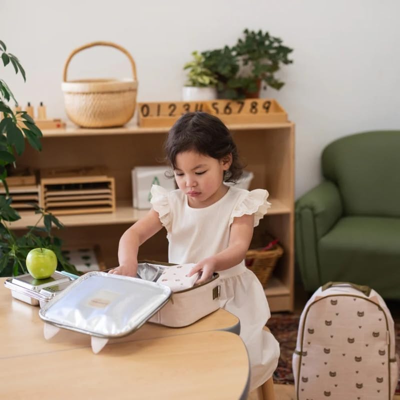 SoYoung Ice Pack - Adults - Kids - Lunch Boxes - Coolers - Backpacks - Eco-Friendly - Non-Toxic - Blue Dinosaur
