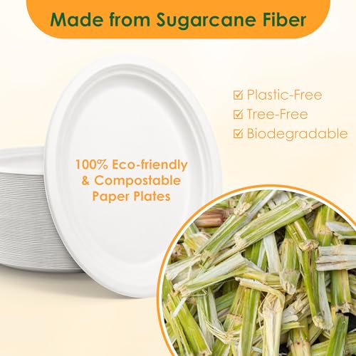 Off-White 12.5 Inch Compostable Paper Plates - 50 Pack Eco-Friendly Bagasse Platters