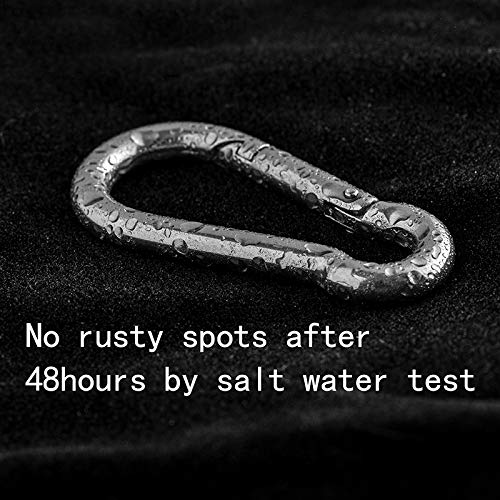 8PKS M6 Carabiner Clip,Spring Snap Hooks Heavy Duty,Stainless Steel 304 Key Chain Clip Fit for Gym,Camping,Travel,Hiking,in/Outdoor Rope Connector