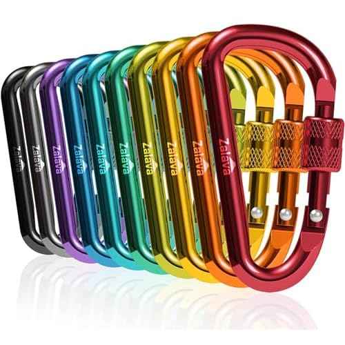 6pcs 2¡±D-Clip Durable Locking Carabiner Keychain Clip with Hook