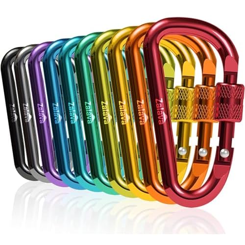 6pcs 2¡±D-Clip Durable Locking Carabiner Keychain Clip with Hook