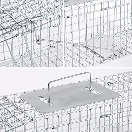32 Inch Live Animal Trap for Raccoons & Cats - Heavy-Gauge Steel, Easy Setup