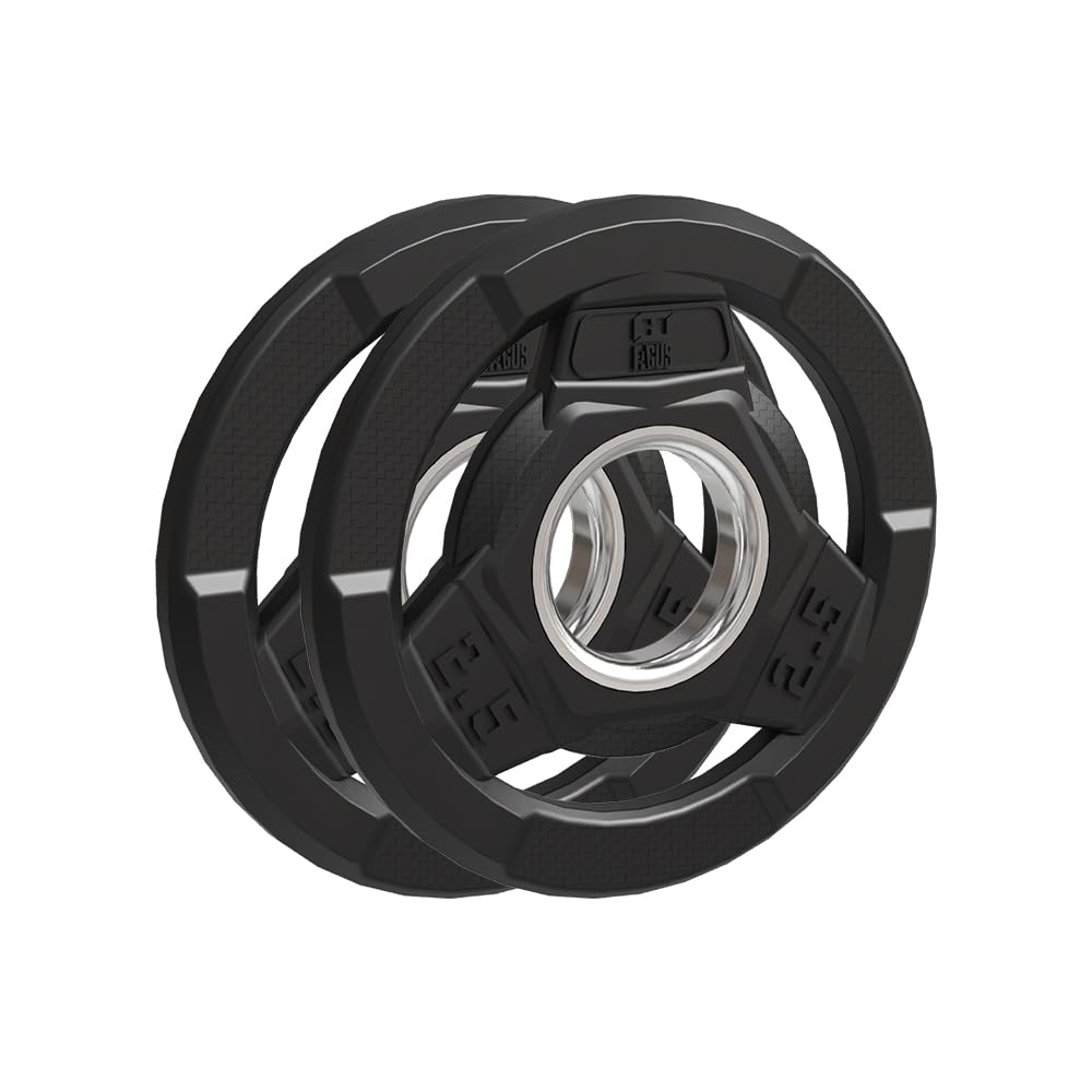 FAGUS H Weight Plate 2-Inch Rubber Coated Olympic Grip Plate for Barbell,Solid Cast Iron Weight Plates for Strength Training,Weightlifting,Crossfit,Home Gym,2.5LB Pair