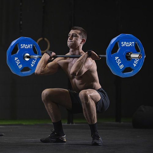 SPART Color Coded Weight Plate 2-Inch Cast Iron Tri-Grip Plate for Barbell,Solid Cast Iron Olympic Weight Plates for Strength Training, Weightlifting, Crossfit, 2.5LB, Pair