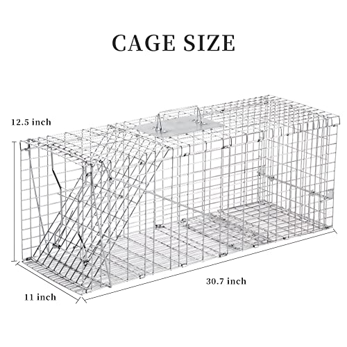 32 Inch Live Animal Trap for Raccoons & Cats - Heavy-Gauge Steel, Easy Setup