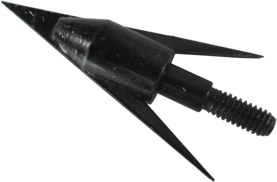 12Pcs Fishing Arrowheads Screw-on Points 150 Grain Black Bowfishing Screw Tips Broadheads for Fishing Arrow Compound Bow, Crossbow and Recurve Bow