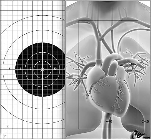 Precision Tactical Law Enforcement Shooting Target - Dual-Sided Paper Target for Rifle Zeroing & Competitive Shooting - Easy Scoring A & C Zones - Compact, Travel-Friendly, Fits in Range Bag