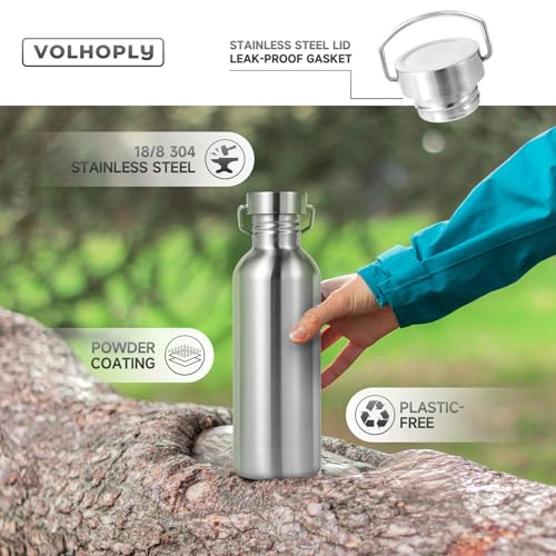 Uninsulated 32oz Stainless Steel Water Bottle with Handle - Silver