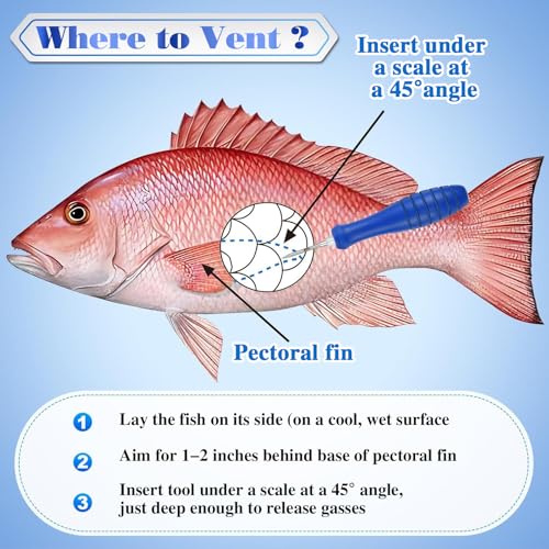 Fish Venting Tool with Blue Handle and Stainless Steel Needles for Deep Sea Fish Relief - Fish Venting Kit