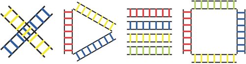 Champion Sports Sectioned Agility Ladder Set, Red/Yellow/Blue/Green, 6.5" x 16" Wide