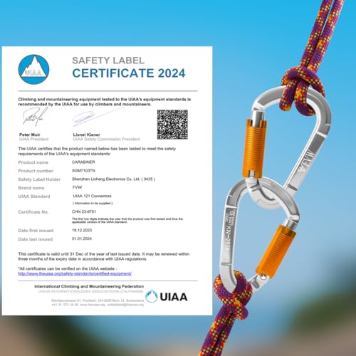 Auto Locking Rock Climbing Carabiner Clips - Silver 2 Pack Heavy Duty 25KN 5620 lbs