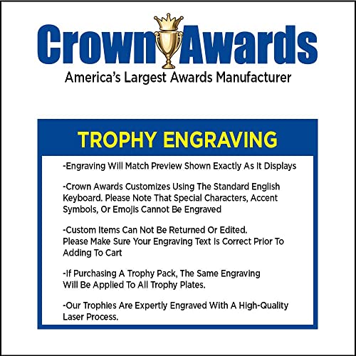 10-Inch Soccer Trophy with Custom Engraving – Metallic Award for Sports Tournament