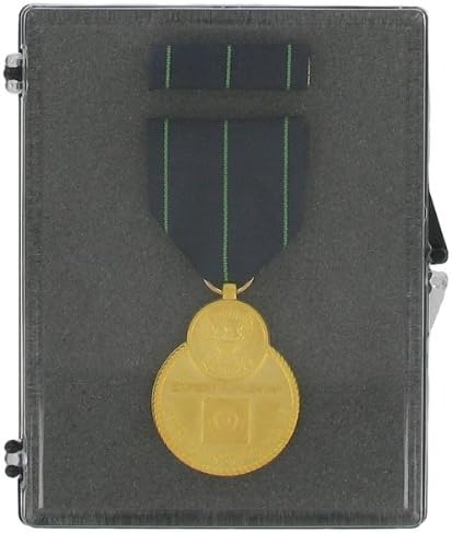 SHOP AWARDS AND GIFTS Large Plastic Hinged Medal Box, Size 3-1/2 x 4-5/8 x 1/2 Inch - Pack of 10