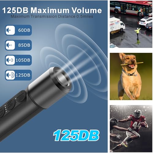 Aswayke Black Rechargeable Electronic Whistle Set - 125dB, 4-Level Volume, Waterproof, Type-C Charging
