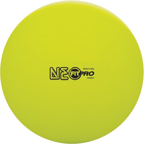Champion Sports Fitpro BRT Training & Exercise Ball