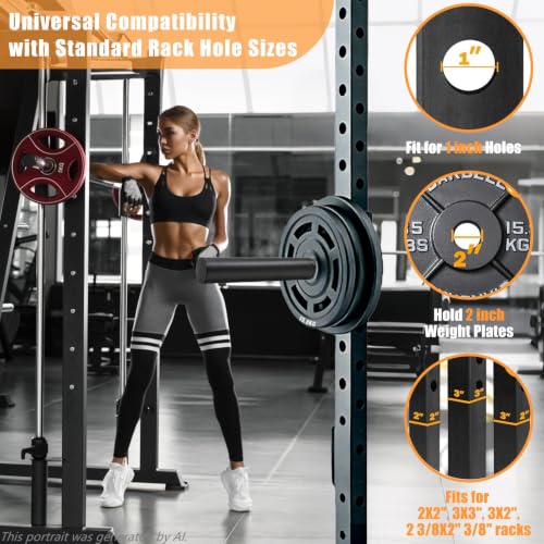 CAELUM Weight Plate Holder Rack for Power Cages 2x2, 2x3, 3x3 with 5/8" Holes - 2 Pieces