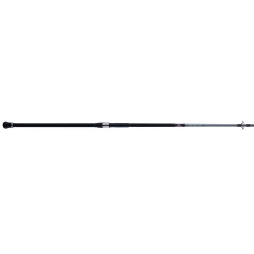 PENN Prevail III 10' Surf Spinning Rod; 2-Piece Fishing Rod, Durable Graphite Composite Construction, Durable Stainless Steel Guides