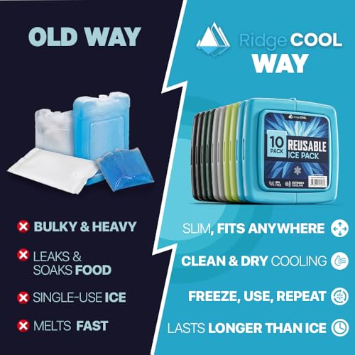 4 Pack Reusable Large Ice Packs for Cooler, Long-Lasting Freezer Packs for Camping and Travel - Variation of Lunch Boxes 10 Pack