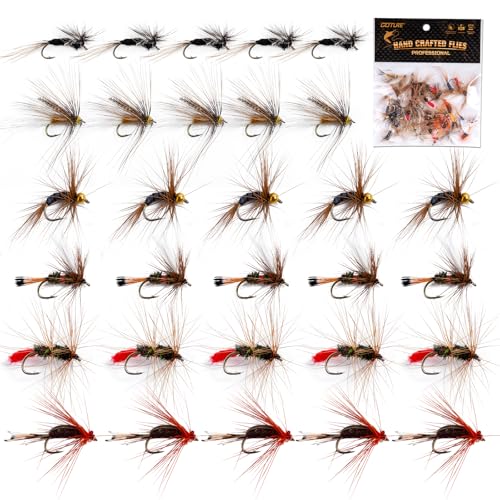 Goture Fly Fishing Flies Assortment Kit - 30pcs, 6 Styles, Dry & Wet Flies for Trout Bass Salmon