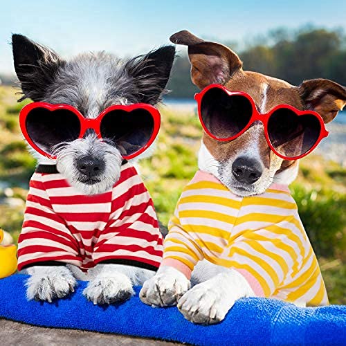 Pet Cotton Striped Dog T-Shirt - Light Color, Medium Size, 6 Pack