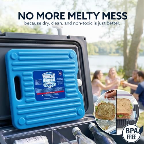 Reusable Cooler Shock Ice Packs for Cooler - Clear 3 Pack