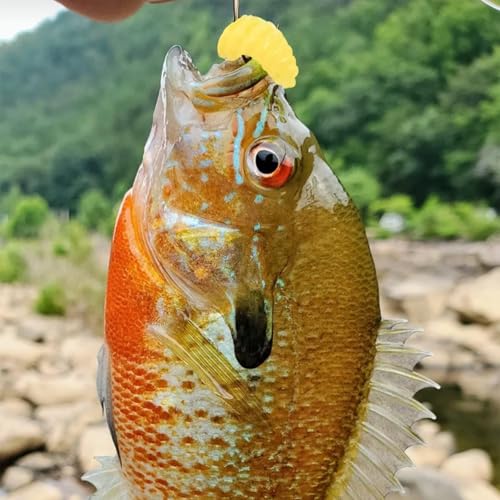 300PCS Realistic Lures - Soft Worm & Maggot Baits for Bass & Ice Fishing