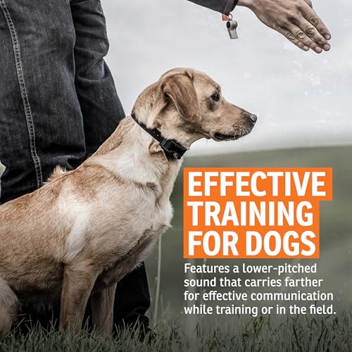 SportDOG Roy Gonia Special Whistle - Orange with Pea for Dog Training