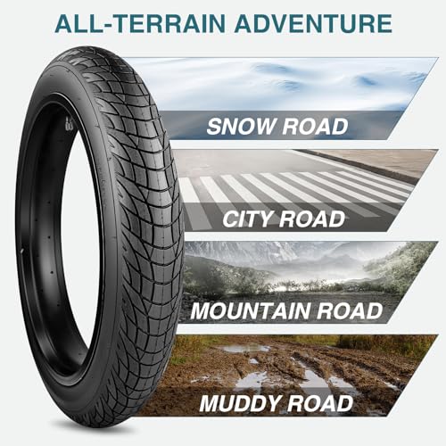 20 Inch Electric Bike Tire 20x3.0 Fat Tire for Snow, MTB, Tricycle - 2 Pack, No Tube