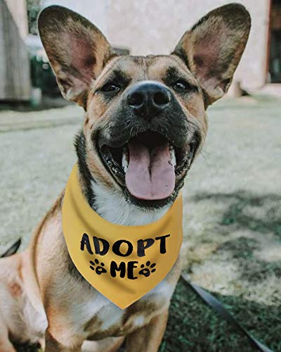 Adopt Me Dog Bandana Set of 3 - Bright Colors for Medium to Large Dogs - Pack of 3