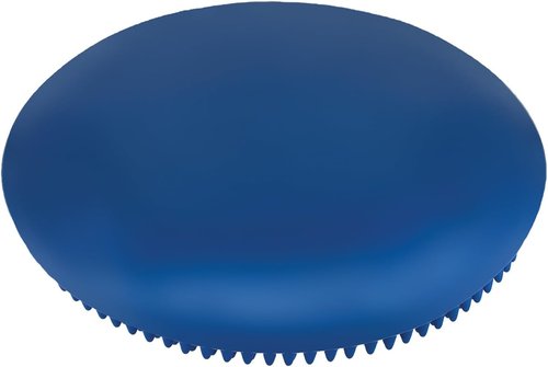 Champion Sports Exercise Disc