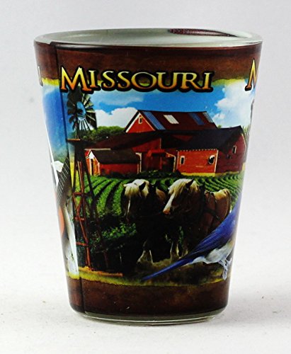 Missouri State Collage Shot Glass - Unique Souvenir Collectible