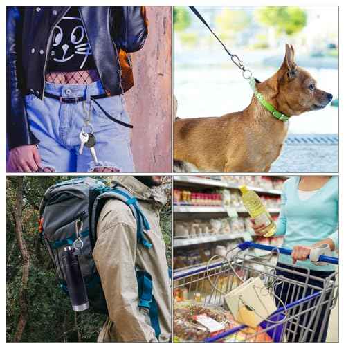 Sibba 2 Pcs Titanium Carabiner Keychain Clip Carabin Hook Small Heavy Duty Keychain Grips Multifunctional Backpack Clasps Anti Lost Quick Release Key Chain Organizer Accessory for Waist Pack