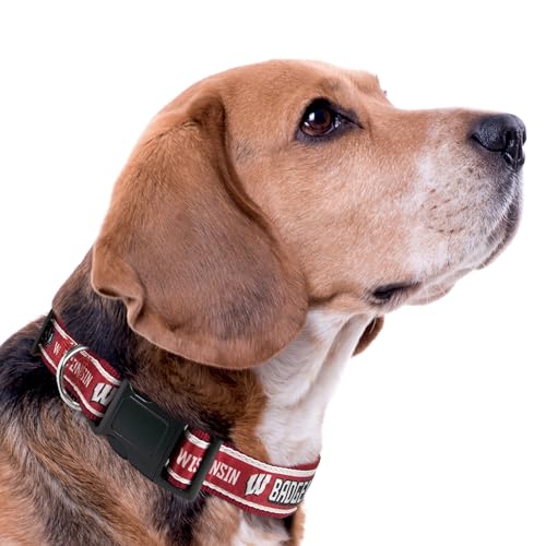 Small NCAA Wisconsin Badgers Pet Collar - Officially Licensed Sports Team Dog & Cat Accessory