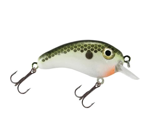 Luck E Strike Crappie Magic Crankbait (2 Inch Crappie Lure) Made in The USA, Tennesse Shad