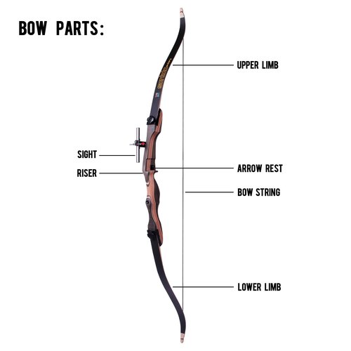 Sanlida Noble Standard Beginner & Intermediate Recurve Bow and Arrows Kit for Adult and Youth, Wooden Takedown Recurve Bow Package for Training, Practice & Competition RH Only (54", 16lbs)