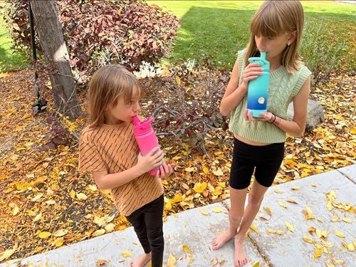 Insulated Water Bottle for Kids 16oz with Straw Lid - Purple Sky - School & Travel