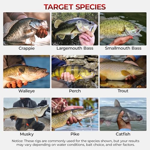 MadBite 182pcs Terminal Tackle Kit for Bass Trout Panfish - Freshwater Fishing