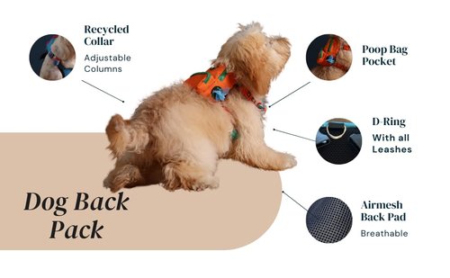 PawLook Dog Backpack to Wear with Chest Harness Self Carrier dogbag with Additional Pocket for Poop Bag Anti Slip Stylish Dog Bag for Your pet Gimme Five Serie Black Small