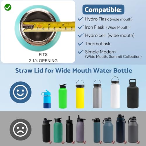Wide Mouth Water Bottle Lid Replacement with Locking Carabiner for Hydro Flask & More