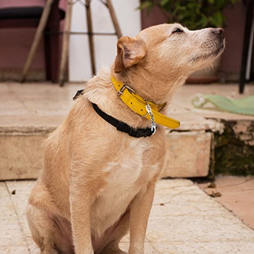 Dog Collar Safety Clip 2 Pack Metal Backup Connectors for Collars & Harnesses