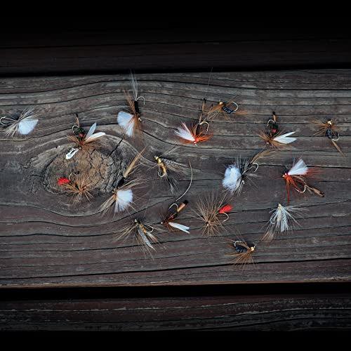 Goture Fly Fishing Flies Assortment Kit - 30pcs, 6 Styles, Dry & Wet Flies for Trout Bass Salmon