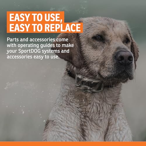 SportDOG Roy Gonia Special Whistle - Orange with Pea for Dog Training