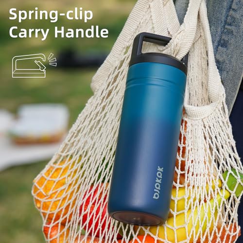 Insulated Travel Water Bottle 20 oz Stainless Steel Cinnabar Red