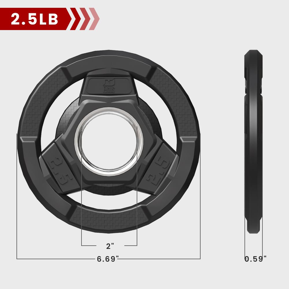 FAGUS H Weight Plate 2-Inch Rubber Coated Olympic Grip Plate for Barbell,Solid Cast Iron Weight Plates for Strength Training,Weightlifting,Crossfit,Home Gym,2.5LB Pair